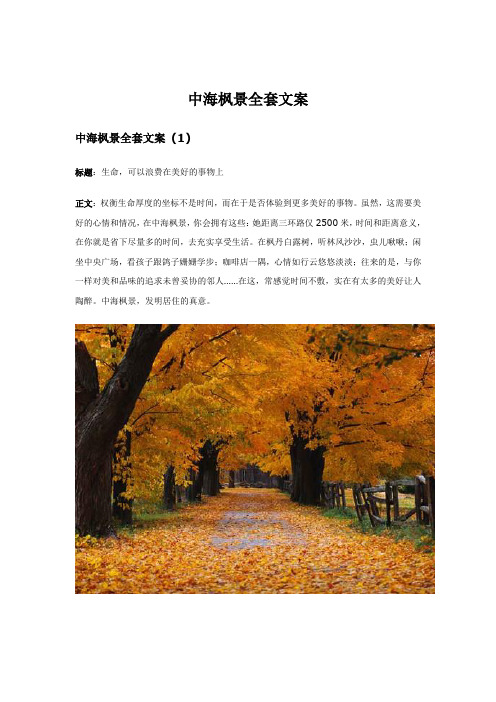 中海枫景全套文案策划