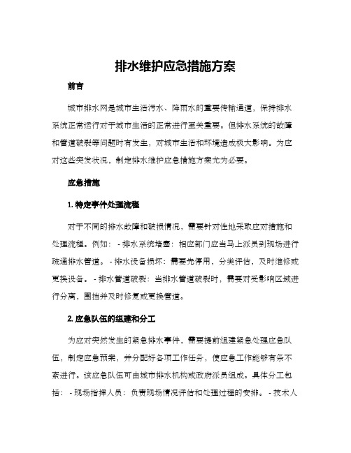 排水维护应急措施方案