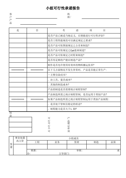 小组可行性承诺报告