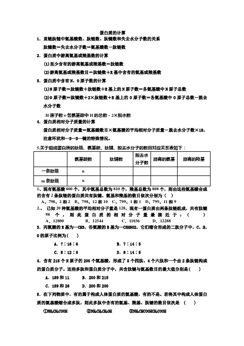 蛋白质的计算