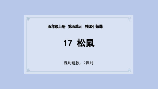 17松鼠 课件(共26张PPT).ppt