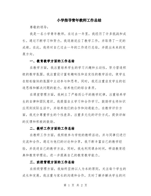 小学指导青年教师工作总结