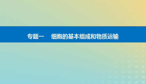 2024届高考生物二轮专题复习与测试专题一细胞的基本组成和物质运输第2讲细胞的基本结构和物质运输课件