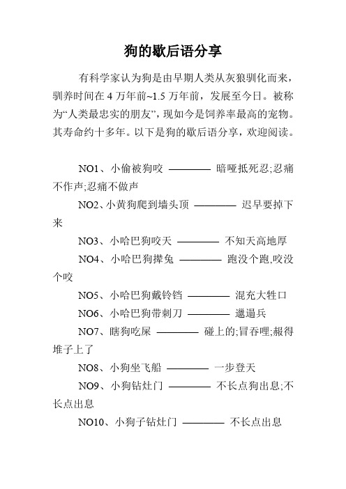 狗的歇后语分享