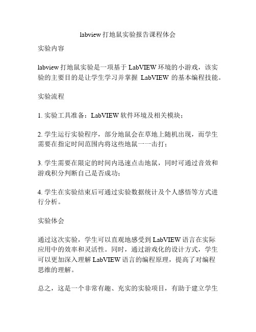 labview打地鼠实验报告课程体会