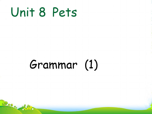 2021-2022年牛津译林版七年级英语下册《unit8 Pets》赛课课件