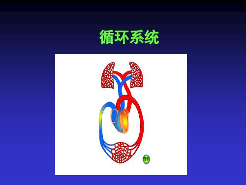 临床医学循环系统