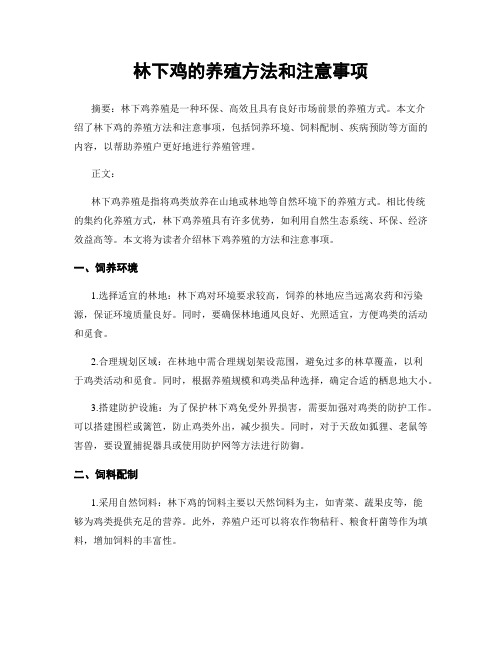 林下鸡的养殖方法和注意事项