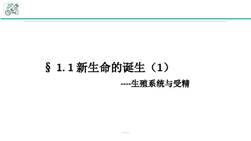 七年级下科学《新生命的诞生》_(ppt)1