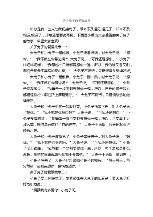 关于兔子的爱情故事_爱情故事