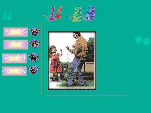 14蜜蜂(优质课)PPT