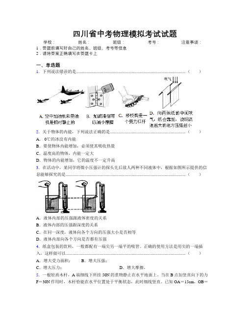 精编四川省中考物理模拟考试试题附解析