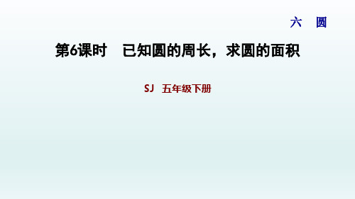 苏教版五年级数学下册 第6单元 6.6已知圆的周长,求圆的面积