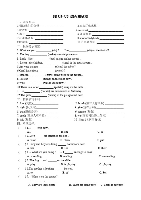 译林版五年级英语下册5B U5~U6综合测试卷