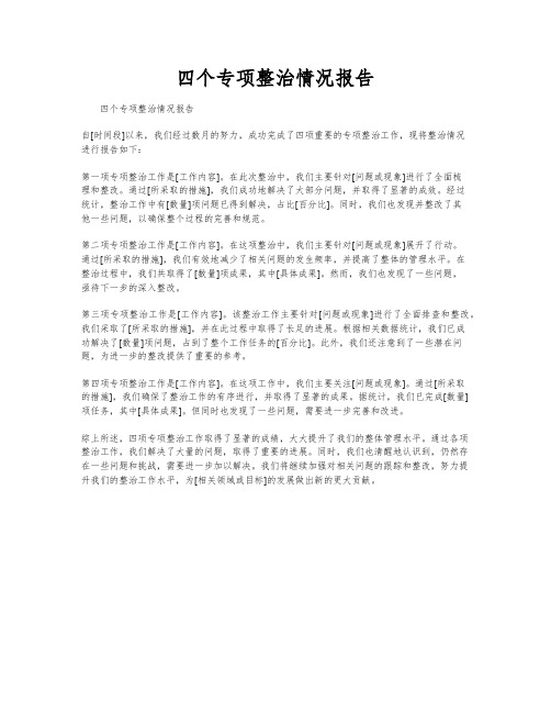 四个专项整治情况报告