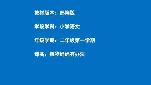 最新部编人教版二年级语文上册《植物妈妈有办法》名师教学课件