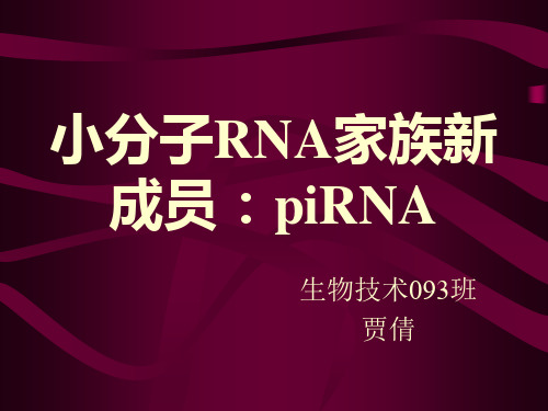 小分子RNA家族新成员：piRNA