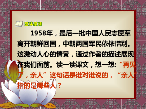 语文五年级下人教新课标14《再见了,亲人》课件(32张)