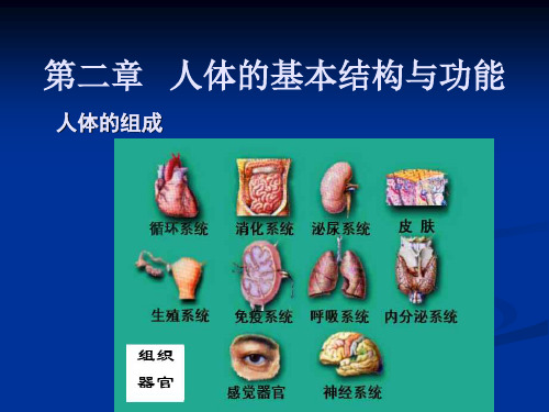 人体解剖生理学：第二章   人体的基本结构与功能