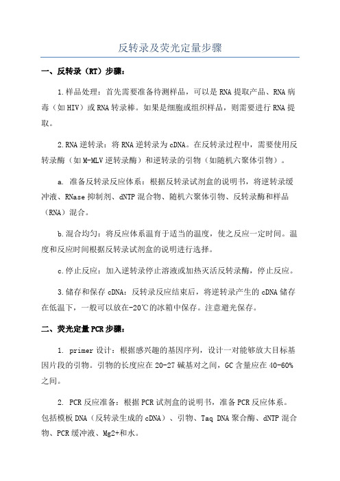 反转录及荧光定量步骤