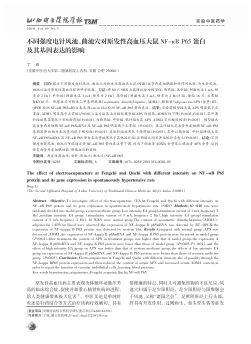 不同强度电针风池、曲池穴对原发性高血压大鼠NF-κB P65蛋白及其基因表达的影响