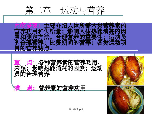 《运动与营养》PPT课件