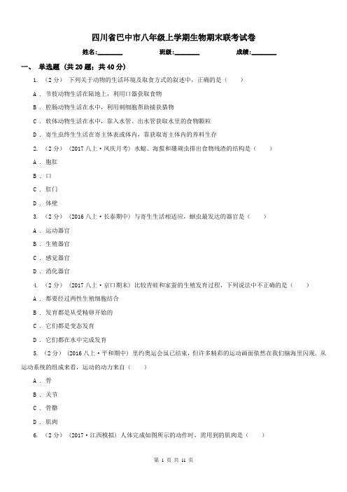 四川省巴中市八年级上学期生物期末联考试卷