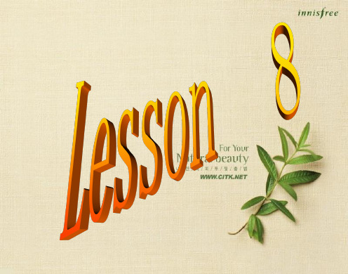 英语英语八年级上冀教版lesson8课件.