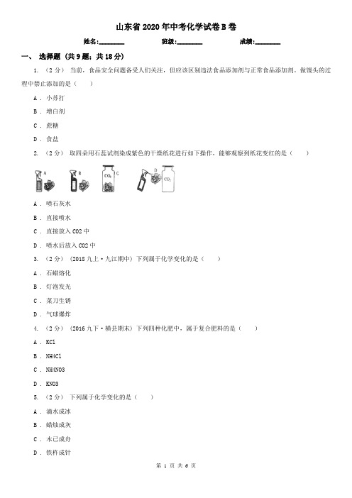 山东省2020年中考化学试卷B卷(精编)