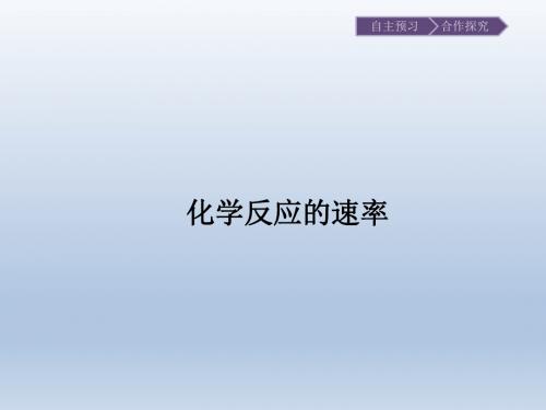 鲁科版高中化学选修-化学反应原理：化学反应的速率_课件1(8)