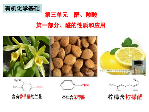 4.3.1 醛的性质和应用 课件-高二化学苏教版选修有机化学基础