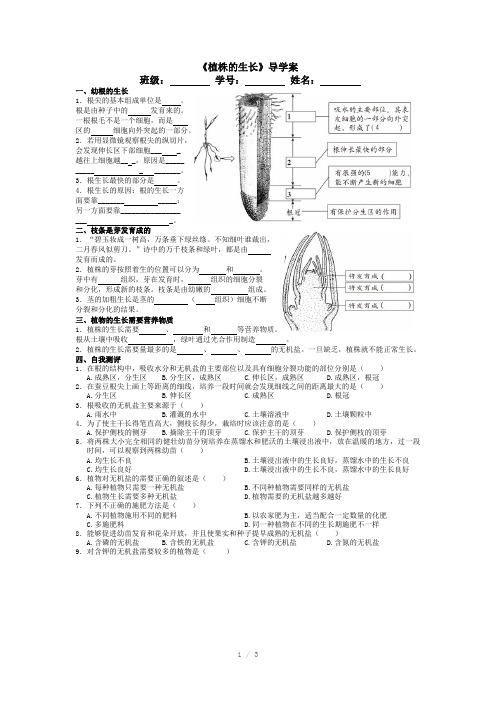 《植株的生长》和《开花和结果》导学案