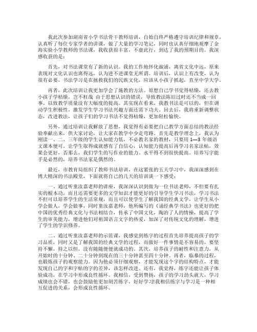 教师书法培训总结