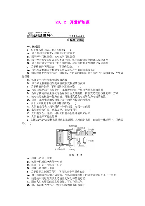 20.2 开发新能源 每课一练3(沪粤版九年级下册)