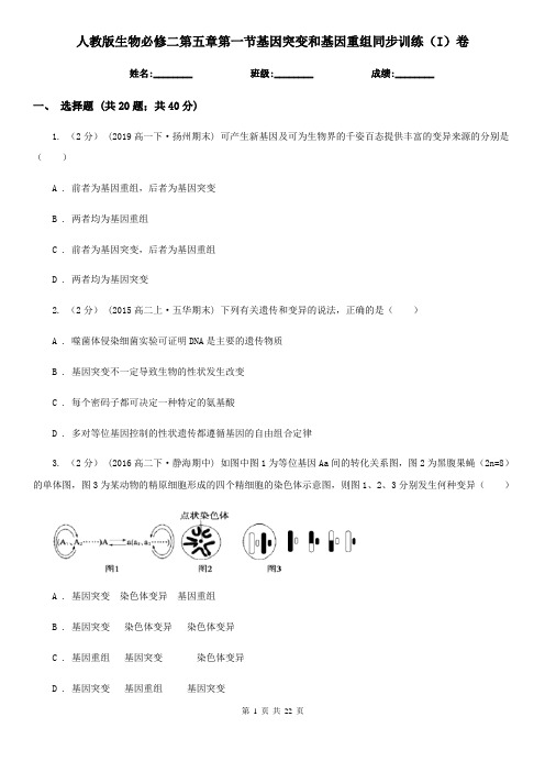 人教版生物必修二第五章第一节基因突变和基因重组同步训练(I)卷