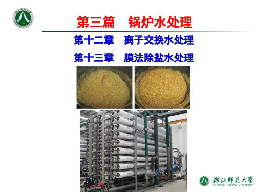 工业水处理技术_第12-13章离子交换和膜法除盐水处理