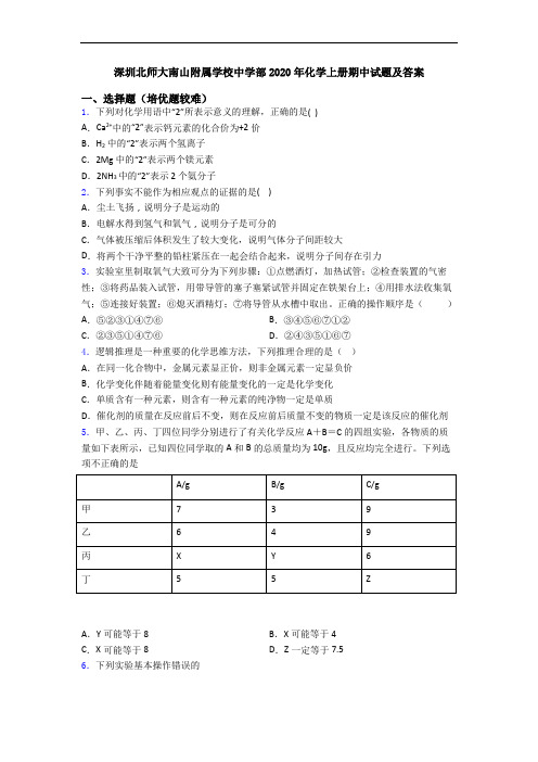 深圳北师大南山附属学校中学部2020年初三化学上册期中试题及答案