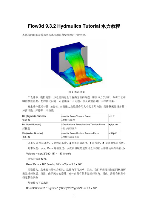 flow3d Hydraulics教程