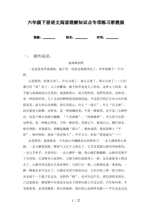 六年级下册语文阅读理解知识点专项练习浙教版