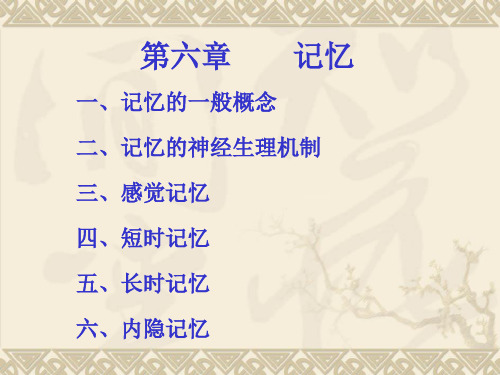 普通心理学-记忆