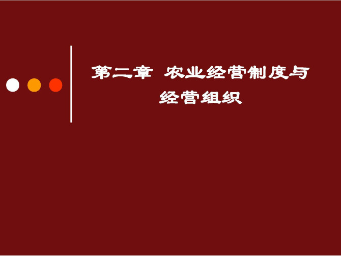 农业经营制度与经营组织第二章