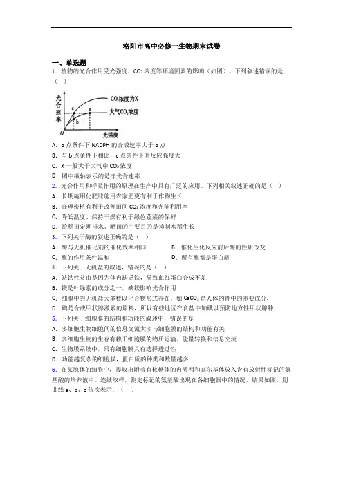 洛阳市高中必修一生物期末试卷