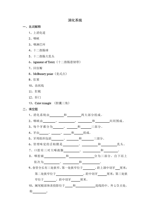 系统解剖学消化系统