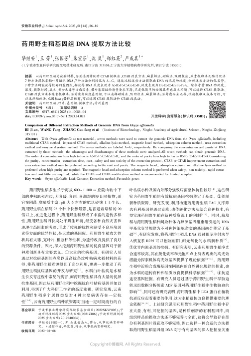 药用野生稻基因组DNA_提取方法比较