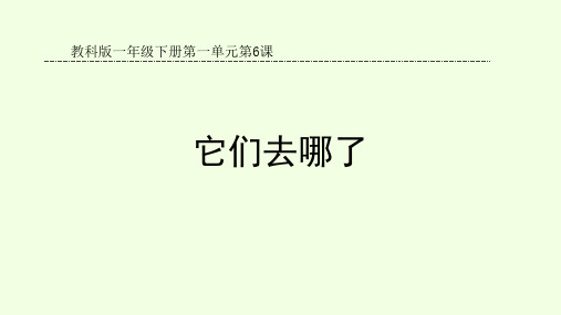 最新教科版科学一年级下册：1.6《它们去哪了》课件(ppt课件)