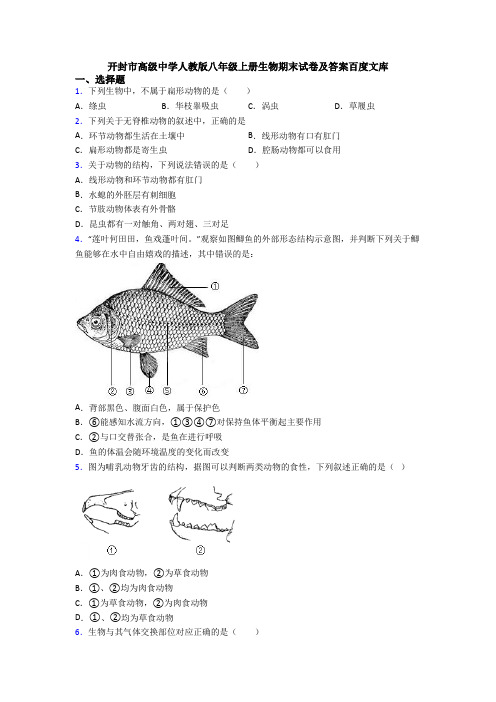 开封市高级中学人教版八年级上册生物期末试卷及答案百度文库