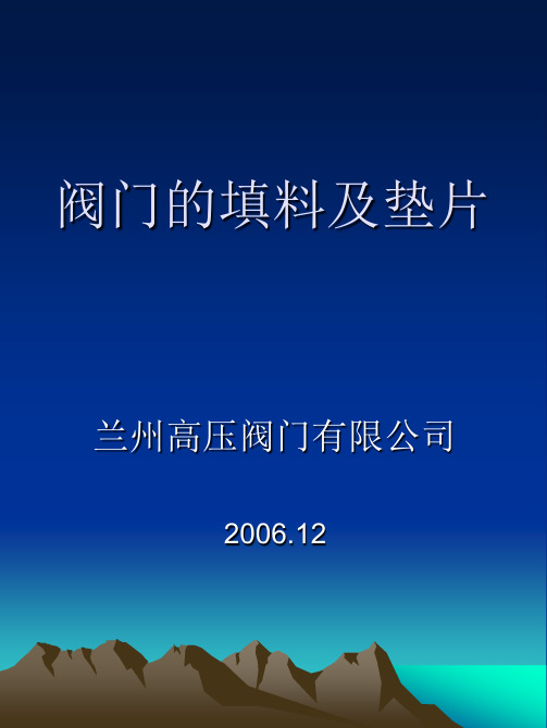 阀门的填料及垫片(精)