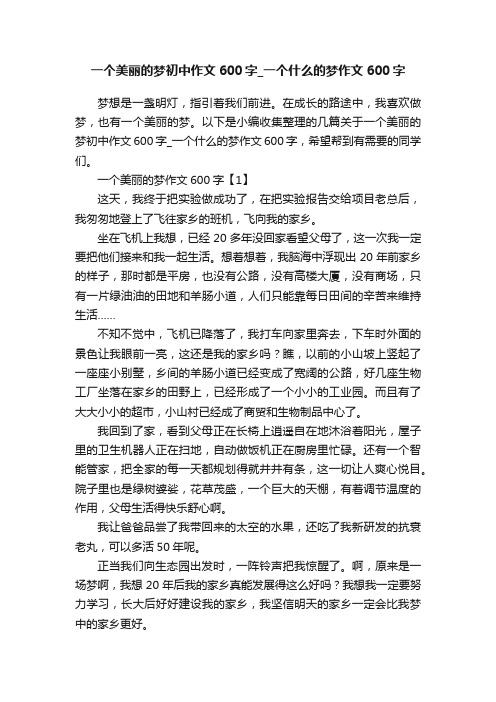 一个美丽的梦初中作文600字_一个什么的梦作文600字