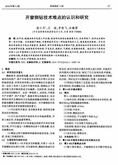 开窗侧钻技术难点的认识和研究