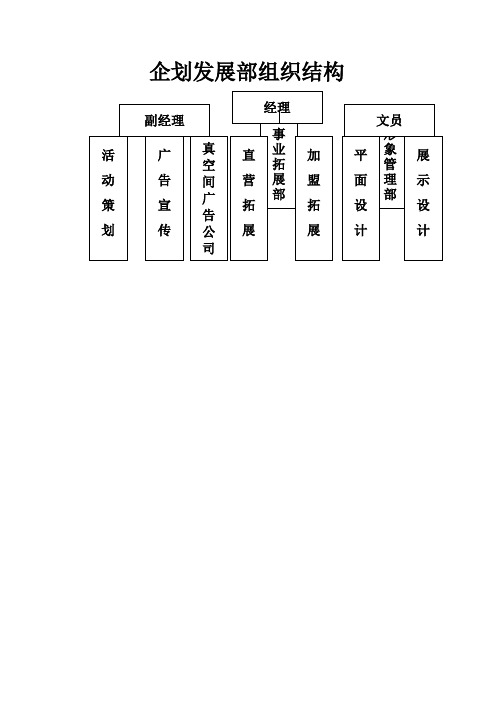 大中电器企划管理手册